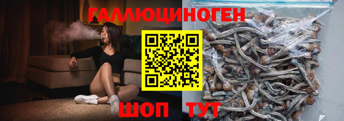 Псилоцибиновые грибы MAGIC MUSHROOMS Северобайкальск