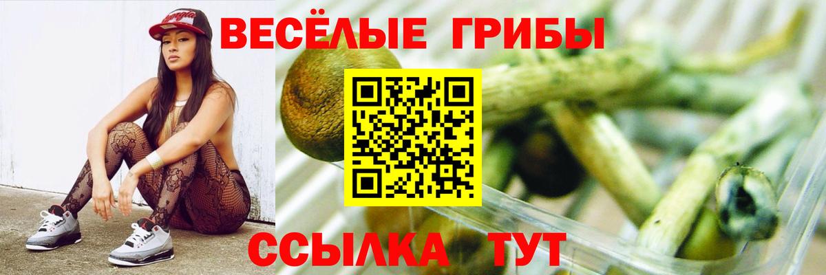 Галлюциногенные грибы Psilocybine cubensis  Галлюциногенные грибы прущие грибы  Северобайкальск  Вход с VPN 